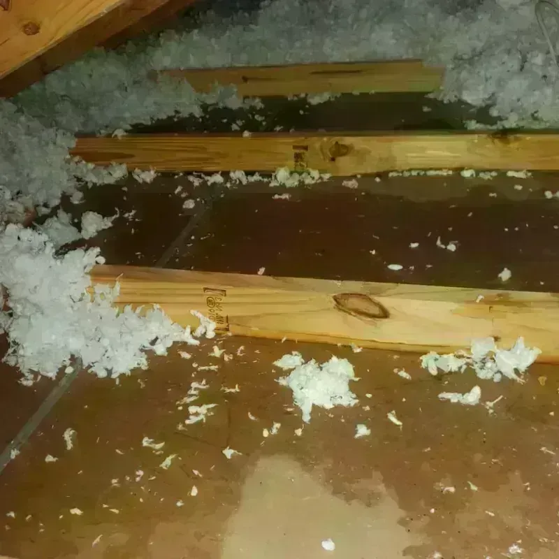 Attic Water Damage in Timberlane, LA